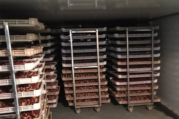 廣西食用菌加快走出去和引進來,烘干設備采用食用菌熱泵烘干機